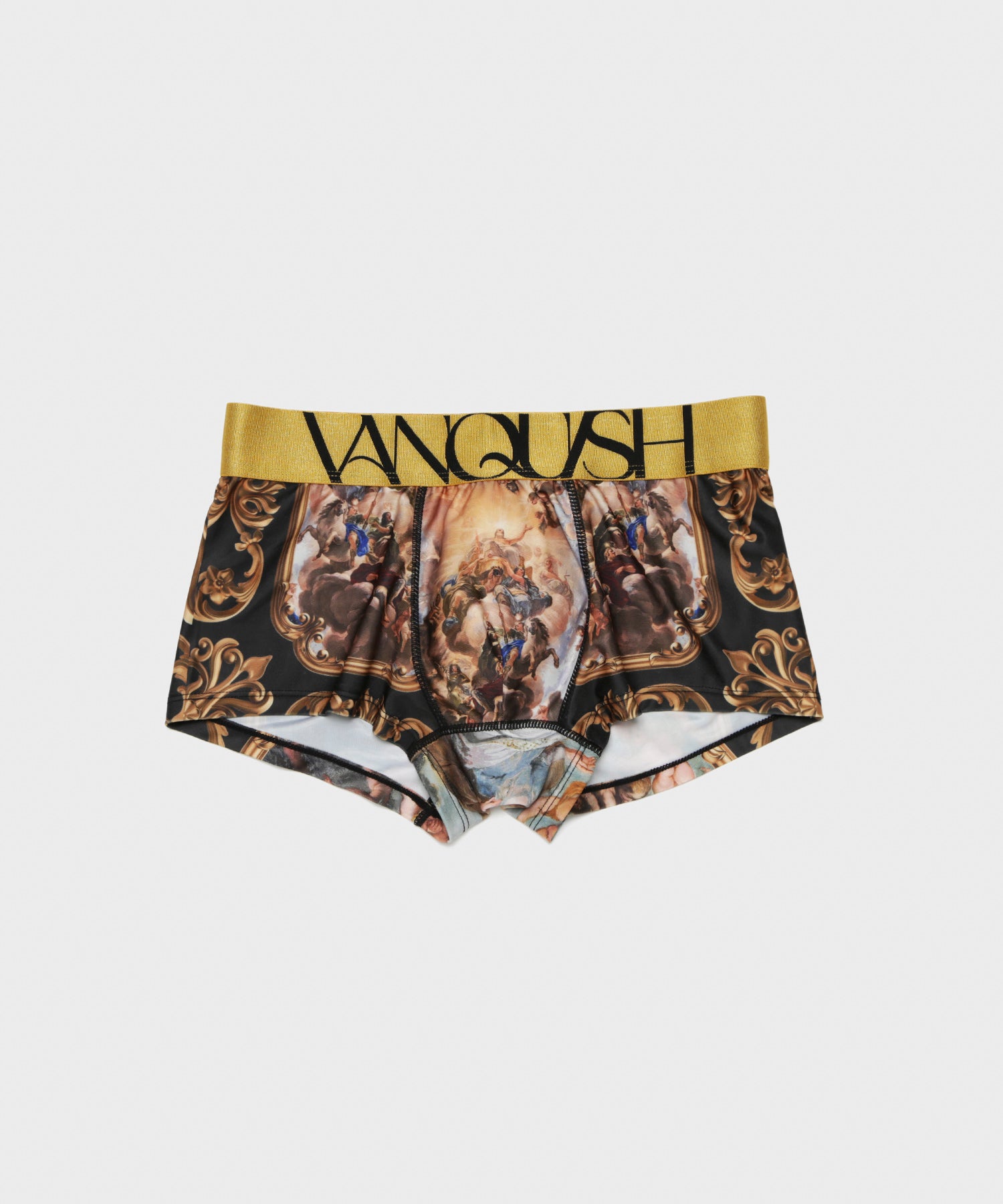 Baroque Art Oil Painting Underwear[VUW154]